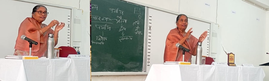 सामान्य और विशेष निरपेक्ष नही हैं- प्रो. सुषमा सिंघवी