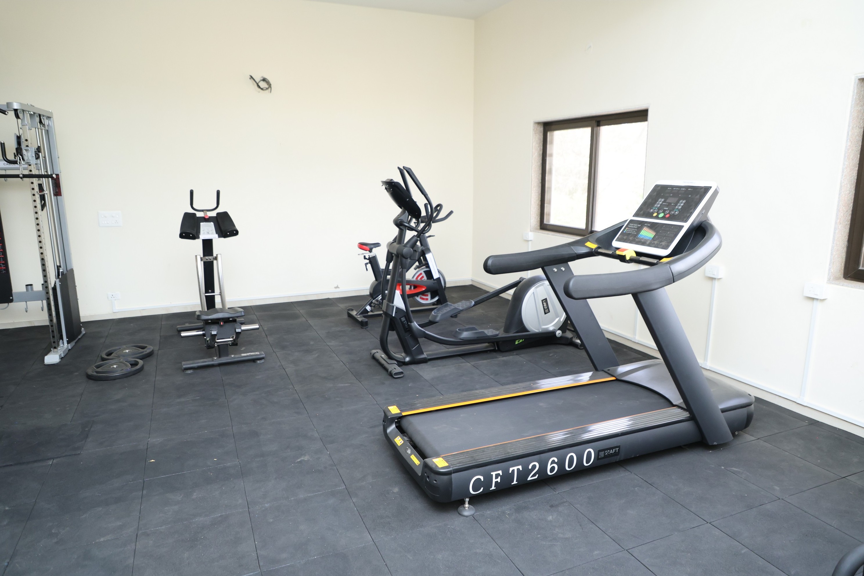 Gymnasium &mdash; Boxing Practice