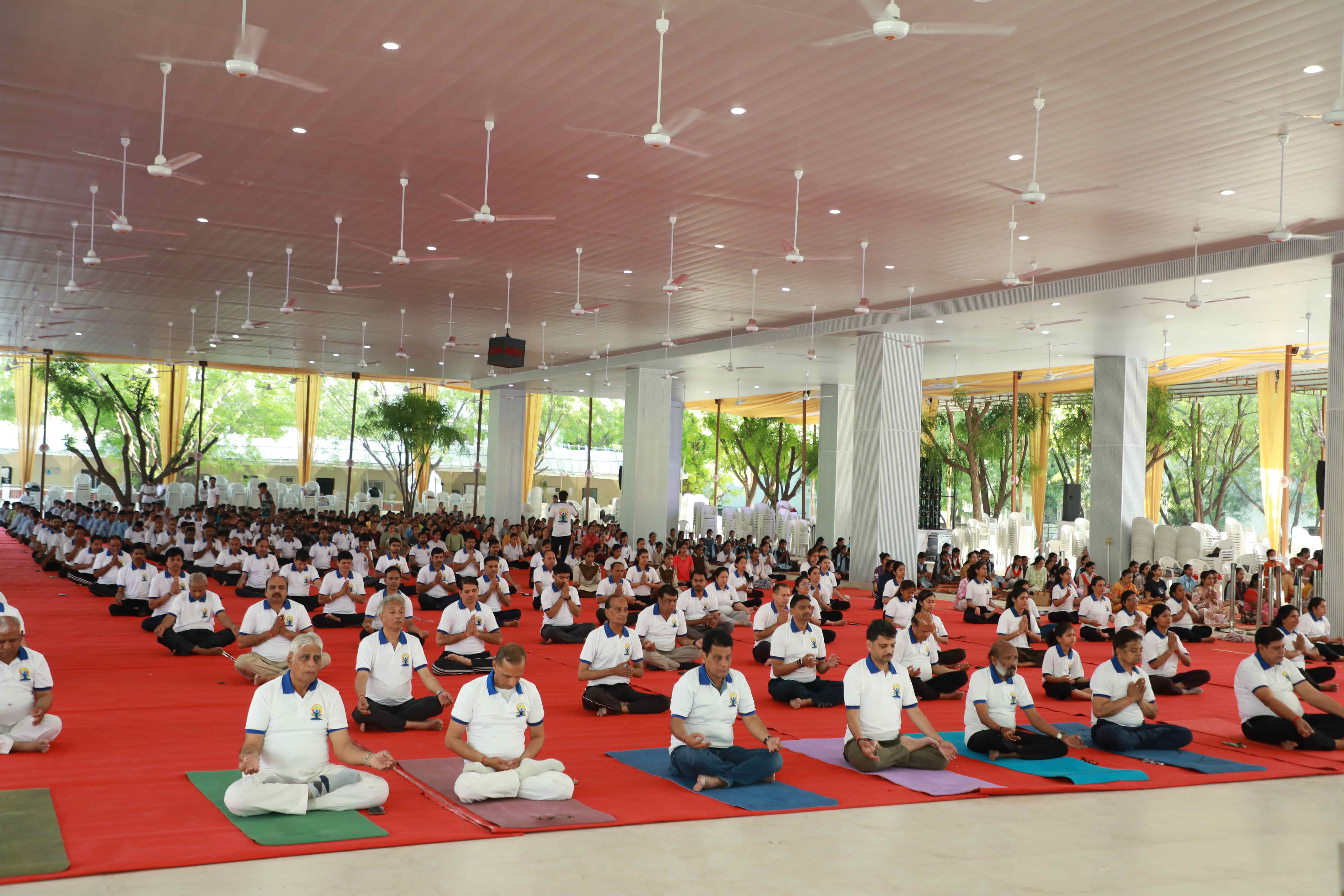 Meditation and Yoga &mdash; Group Session